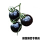 Chunzhiyun Black Crystal Special Tomato Seeds grow well and are transportable Black Tomato Small Tomato Cherry Tomato Vegetable Seeds Black Crystal 20 capsules