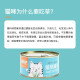 Hanhan Paradise Cat Grass Seeds Soil Culture Potted Plants Canned Dog Cat Grass Box Lazy Cat Grass Tablets Cat Snacks Cat Grass Canned Cat Zero Cat Candy 12g*2 pcs