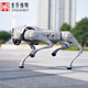 Jingtianbote GO2 Robot inteligente de cuatro patas, duración de la batería de doble batería, voz GPT, versión de programación inteligente, robot biónico, pantalla de rendimiento, perro de cuatro patas, GO2-Pro+control remoto+batería larga