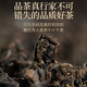 传奇会乌龙茶 安溪铁观音 浓香型特级500g中火礼盒装茶叶新茶送礼礼品