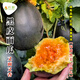 Long-cultivated black beauty melon seeds old variety black skin red flesh dry noodle melon seeds spring and summer seasons potted melon seeds black beauty melon seeds 5g * 5 packs