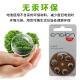 Phonak Ayuding Ayfice Batería especial E312/675 Botón importado Productos electrónicos Accesorios cocleares Carcasistas de orejas A13 (5 placas 30 tabletas)