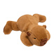 Bei Shangxing Anniversaire pour enfants, Kapibala Doll Plush Toys, Cadeaux d'anniversaire pour filles, poupées masculines, Capybara 18cm