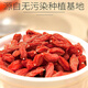 Authentic Ningxia old production area wolfberry large granules wolfberry dried soaked in water health tea tribute fruit soaked in wine to nourish wolfberry free wash wolfberry tea 500g wolfberry king tribute fruit net weight 500g (one can)