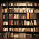 Niweige anchor background cloth 3D three-dimensional high-definition magnetic study bookshelf live broadcast Kuaishou Douyin live broadcast background male and female Kuaishou internet celebrity live broadcast 1.5 meters wide X1.5 meters high (curly hair) S-11965