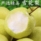 Jingxi Jiazhao County Snow Pear Hebei Snow Pear Suning Snow Pear Adecuado para hacer sopa 15 con caja 2 Jin Jin equivale a 0,5 kg Peso neto 1,6-1,8 Jin Jin equivale a 0,5 kg