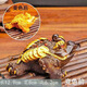 Qingtianwenyue creative tea pet ornaments to attract wealth, color-changing golden toad, three-legged color-changing tea set, tea table, tea tray, tea ceremony accessories, tea toy, solid, solid large golden toad (turns golden, about 13cm long)