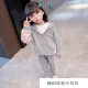 Disney Girls Spring and Autumn Clothing Suit Children's Suit Baby Girl 1-6 Years Old Children's Clothes Children's Sweater Jacket Pants Gray Suit 110 Recommended Height 100-110cm