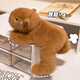 Bei Shangxing Anniversaire pour enfants, Kapibala Doll Plush Toys, Cadeaux d'anniversaire pour filles, poupées masculines, Capybara 18cm
