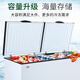 海蓝星冰柜商用大容量智能卧式冷柜冷藏冷冻单双温大冰柜商用冷冻柜大容量冷柜商用冷柜展示柜 【智能温控】698单温铜管制冷 长1.13米