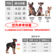 Puppytie dog leash dog rope dog rope vest type Teddy pet harness name can be customized Denim blue - harness S - small recommended 8-16 Jin Jin equals 0.5 kg