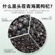 Qilixiang Black Wolfberry, Qinghai Qaida Wood Stubble Fruit de tamaño mediano 250 gramos, té salud