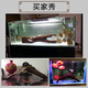 
SenYUAN (SENYUAN) Purple teak arch bridge-type sinking wood large fish tank landscaping ornaments natural branches have been boiled and submerged in the landscaping wood drying platform 1396 has been boiled and submerged in the