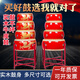 乐儿音实木堂鼓大鼓小鼓锣鼓打鼓牛皮鼓战鼓儿童鼓民族打击乐器教学乐器 红鼓(送鼓棒+背带) 9寸PVC鼓身 6-12岁儿童用