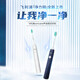 飞利浦（PHILIPS）电动牙刷S1成人情侣 入门款2种模式洁齿护龈净力刷 生日礼物送男女友 冰川白HX2431