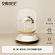 BeiE (BeiE) Newborn Gift Box Hand-Ringing Newborn Baby Toys Holiday Gift Baby Toys 0-6 months Newborn Gift Box - 8 Ringing Bells + Hand-Catching Ball + Tumbler