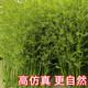 Hua e flow simulated bamboo outdoor decoration fake bamboo simulated plant landscaping bionic bamboo outdoor green plants 2.5 meters high 50 roots