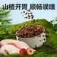 NetEase carefully selects dog food for puppies and adults, general-purpose native dog, Corgi, Husky, big bag, small and medium-sized dog food, 24Jin Jin equals 0.5kg, cares for the stomach and intestines, strengthens the body, formula
