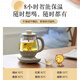Bear Tea Maker Spray Type Tea Maker Health Pot Thickened Glass Black Tea Office Tea Steamer Small Tea Stove Mini Electric Kettle Insulation Integrated 0.8L ZCQ-A08H2 Glass Panel 0.8L
