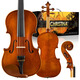 Christina V04 handgefertigtes Massivholz Violine Anfänger Professionelle Klasse Advanced Children's Adult Musical Instrument 1/4 Helles Licht