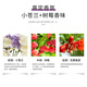 
Novella Japan imported Vilan refreshing oil control shampoo 420ml amino acid shampoo plump fluffy and itchy