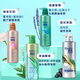 Flancez du shampooing anti-dandroff à parfum pour hommes et femmes Dance Dance 530g Shampooing Fragrance Shampooing for Hair Cream