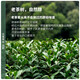 陈一凡 鸭屎香凤凰单枞 茶叶 乌龙茶新茶 正宗潮州单丛鸭屎香乌龙茶 4包500g