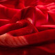 Antarctic red wedding blanket double-layer thickened 10 Jin [Jin equals 0.5 kg] blanket in autumn and winter cover blanket Rasher wedding blanket double quilt dowry gift CC-653 Big Red [Double-layer thickened blanket] 200*230cm [about 8 Jin [Jin equals 0.5 kg]]