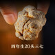 晶草 三七头250g 特级精选20头高海拔藏三七可自磨三七粉养生滋补品