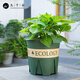 Nine Thoush Valley Gallon Flower Pot de 5 galones Garantía de jardinería Plantación verde Pot de plástico Flower Pot 30*30cm 2 paquetes 5945