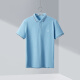 HLA Hailan House short-sleeved POLO summer elegant lapel front chest embroidered short THNTPD2Q006A light blue (12) 170/88Y (48)