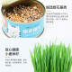 Hanhan Paradise Cat Grass Seeds Soil Culture Potted Plants Canned Dog Cat Grass Box Lazy Cat Grass Tablets Cat Snacks Cat Grass Canned Cat Zero Cat Candy 12g*2 pcs