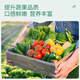 Stanley (STANLEY) compound fertilizer, vegetable gardening, flower fertilizer, household general-purpose chemical fertilizer, ternary nitrogen, phosphorus and potassium fertilizer 5Jin Jin is equal to 0.5kg