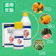 Xingnong Yongfu 45% Kasugamycin Quinoline Copper Citrus Canker Watermelon Bacterial Angular Spot Fungicide Taiwan 500g
