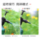 Jiuqiangu watering can star gray 2L watering can water the flower disinfection gas pressure gardening watering can pressure watering can 1381