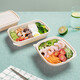 Disposable lunch box environmentally friendly degradable take-out box corn starch multi-compartment lunch box packed salad box with lid SZ-H102 single compartment lunch box 1000ML-200 sets