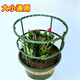 
Flower bracket support rod plant bracket universal flower bracket splicing gardening orchid lotus flower rack climbing frame fixed flower rack stackable | Thickened [10 layers] 60 roots