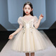 Disney Kinderkleid Prinzessin Rock Sommer Blume Kinder Hochzeit geschwollener Rock Rock Rock Little Girl Host Piano Performance Kleidung DK683 Mesh Sleeve Pink Abonnement mit Crown 120 cm 30-40jin [Jin gleich 0,5 kg]