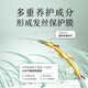 Hair 100 ans Hydrating Shampooing Anti-Dandruff Anti-ICM Amino Acid Shampooing Head Cream Shampooin