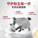 Zhen Chun Cat Food Kitten Food Pet Main Food Special for Kittens 1-12 Months Cat Food 2kg 4Jin [Jin equals 0.5kg]