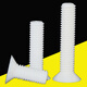 XMSJPP-Korrosionsresistente flacher Kopfschraube M6-M10 Cross-Coctersunk isoliert Säure und alkali-resistente Plastik-PP-Schraubenschrauben M8*12200 Stücke