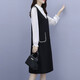 Shanidoluo large size women's spring and autumn clothing new style fat MM fat man looks slim and covers belly fake two-piece dress 16753 black 2XL recommended 130-150Jin [Jin equals 0.5 kg] wear