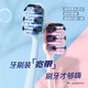 
Shuke Xiao Zhan's same wide-head soft-bristled toothbrush double spiral brush deep clean gingival protection 2 X2 high-efficiency anti-allergic new and old random
