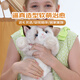 Cometa trapo Ragdoll Cat Plush Toy Doll Doll Doll Adornos almohada Valentín de San Valentín Regalos de curación para novia