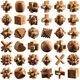 Liuxia Luban Lock 10-15 Jahre altes Set von Kongming-Lock-Buchen-Leichen- und Zapfenentwicklung intellektuelles Spielzeug pädagogischer Kinder und Studenten [High-End-Geschenk] Holzbox a