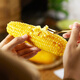Jingxiansheng Northeastern Yellow Corn 260g*10 Cobs Vacuum Packaging Sticky Corn Sticky Corn Straight from the Source