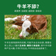 Baiyun Mugang Cattle and Sheep Licking Bricks Salt Bricks for Cattle and Sheep Nutritional Trace Elements Reinforced Mineral Feed Additives Pica and Stomach Compound Licking Bricks 2 boxes (a total of 80Jin Jin is equal to 0.5kg)