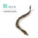 卢正浩茶叶 乌龙茶 正宗武夷特级岩茶大红袍口粮茶叶自己喝100g