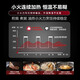 尚朋堂 双头电磁炉双灶电磁炉套装电磁灶家用嵌入式电磁炉灶电陶炉大功率电磁炉商用电灶3500W 35AK（开孔尺寸675*395mm）