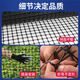 Danau Meng Plastic Grid Farm Net Fish Pond Protection Anneau Corn Poulet Net Net Isolation Isolation Fence Garden Vegetable Guardian Net 1,2 mètres de haut + 3 cm Trou + Tie 4,8 mm d'épaisseur (50 mètres / rouleau) 1517